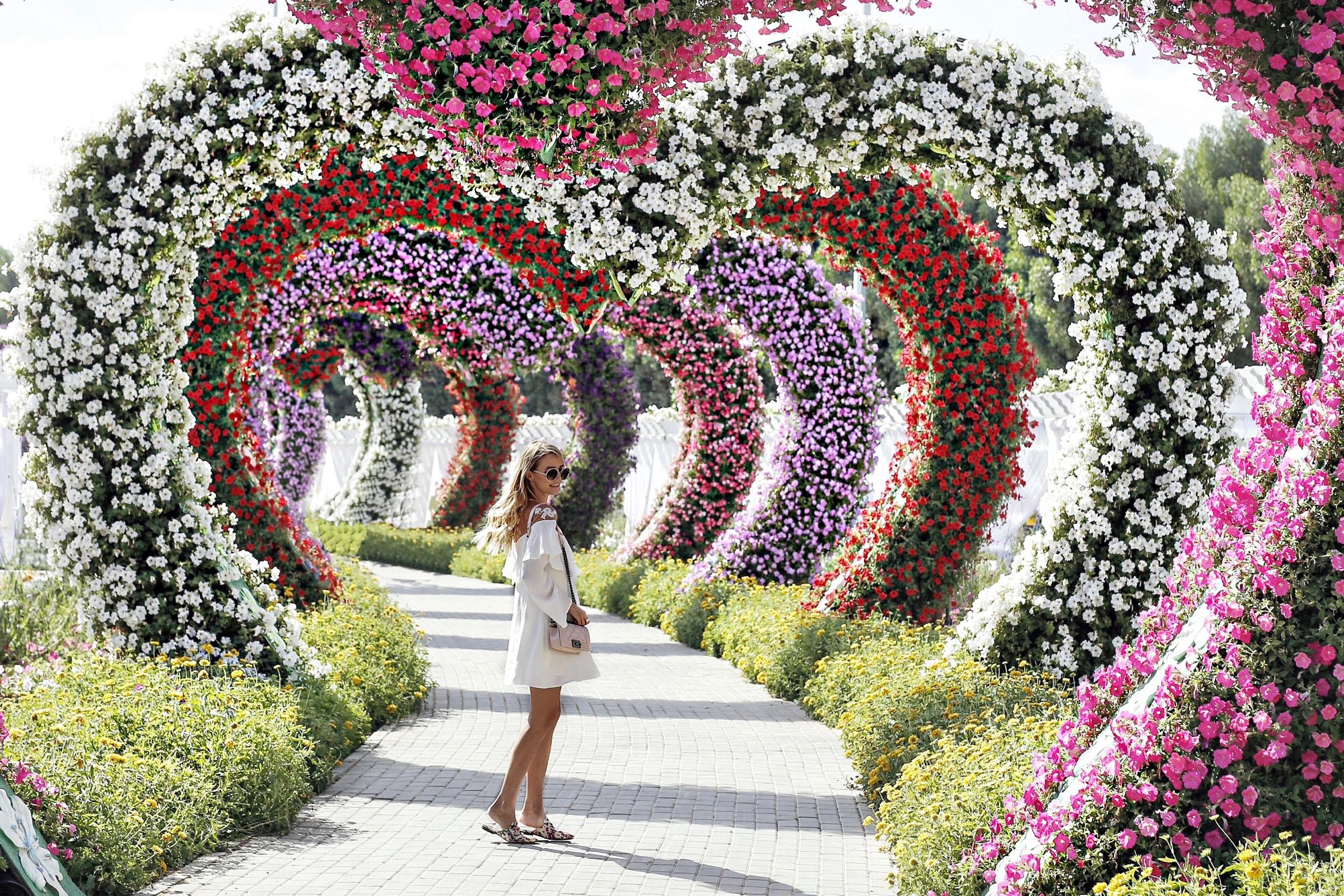 Miracle garden | Dubai