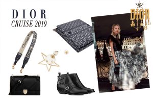 Dior Cruise 2019 collage